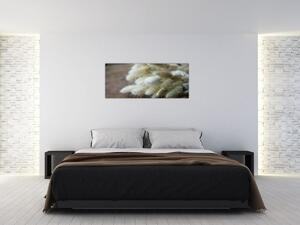 Obraz - Zajačí chvostík (120x50 cm)