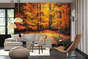 Samolepiaca vliesová fototapeta Cesta v jesennom parku 375 x 250 cm