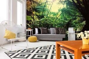 Samolepiaca vliesová fototapeta Džungľa na Havaji 375 x 250 cm