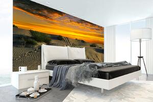 Samolepiaca vliesová fototapeta Červánky nad púšťou 375 x 250 cm