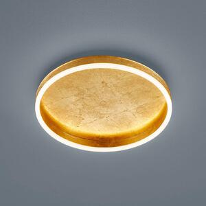 Helestra Sona stropné LED stmievateľné Ø40cm zlaté, Mosadz / zlato, Chodba, kov, Moderný, Závesné svietidlo