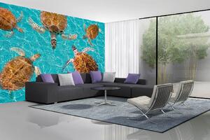 Samolepiaca vliesová fototapeta Korytnačí skupina 375 x 250 cm