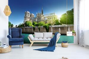 Samolepiaca vliesová fototapeta Notre-Dame II. 375 x 250 cm