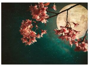Obraz - Sakura v splne (70x50 cm)