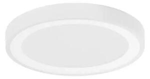 LED stropné svietidlo Nodi 45 biele – Biela