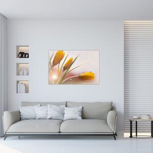 Obraz - Jarné kvety (90x60 cm)