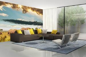 Samolepiaca vliesová fototapeta Rodina slonov 375 x 250 cm