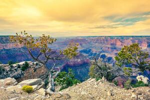 DIMEX | Vliesové fototapety na stenu Ráno v Grand Canyone MS-5-1645 | 375 x 250 cm | žltá, oranžová, hnedá