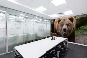 Samolepiaca vliesová fototapeta Medveď grizzly 375 x 250 cm