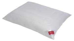 VANKÚŠ, 40/60 cm Hefel Textil - Prikrývky & vankúše