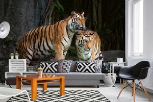 Samolepiaca vliesová fototapeta Tiger indický 375 x 250 cm