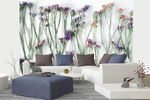 Samolepiaca vliesová fototapeta Sušené kvety 375 x 250 cm