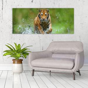Obraz - Bežiaci tiger (120x50 cm)