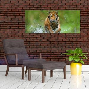Obraz - Bežiaci tiger (120x50 cm)