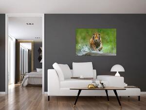 Obraz - Bežiaci tiger (90x60 cm)