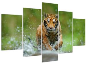 Obraz - Bežiaci tiger (150x105 cm)