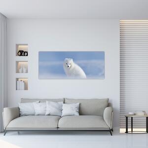 Obraz - Polárna líška (120x50 cm)