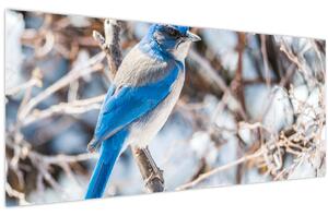 Obraz - Zimný vtáčik (120x50 cm)