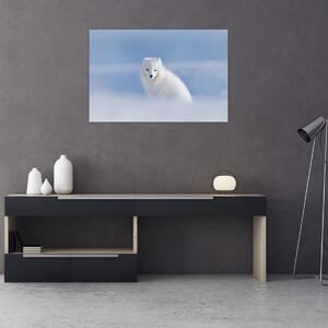 Obraz - Polárna líška (90x60 cm)