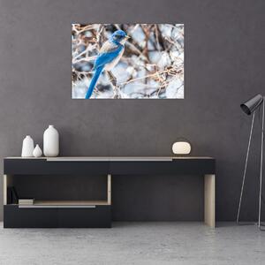 Obraz - Zimný vtáčik (90x60 cm)