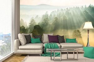 Samolepiaca vliesová fototapeta Lúče slnka 375 x 250 cm