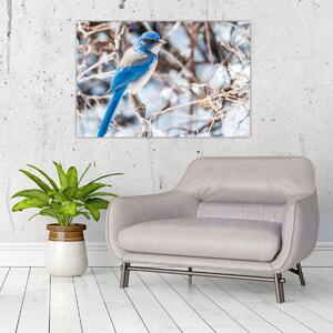 Obraz - Zimný vtáčik (90x60 cm)
