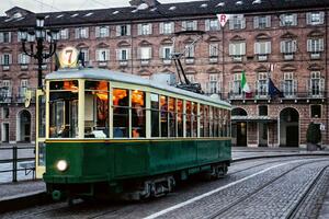 DIMEX | Vliesové fototapety na stenu Piazza Castello MS-5-2897 | 375 x 250 cm | zelená, hnedá, šedá