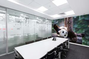 Samolepiaca vliesová fototapeta Panda 375 x 250 cm