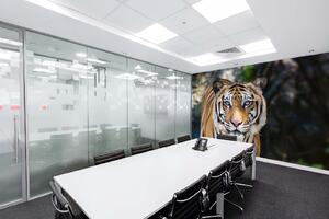 Samolepiaca vliesová fototapeta Veľký bengálsky tiger 375 x 250 cm