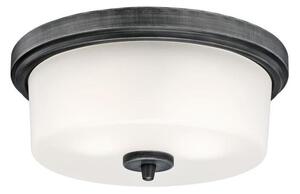 Westinghouse 6325140 - Stropné svietidlo CEDRIC 2xE27/40W/230V priemer 33 cm