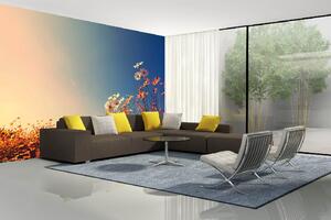 Samolepiaca vliesová fototapeta Krásna kvetinová lúka 375 x 250 cm
