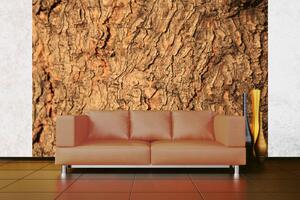 Samolepiaca vliesová fototapeta Textúra stromu 375 x 250 cm