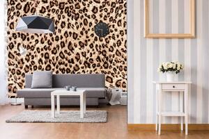 Samolepiaca vliesová fototapeta Leopardia koža 375 x 250 cm