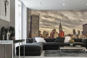 Samolepiaca vliesová fototapeta Letecký pohľad na NY 375 x 250 cm