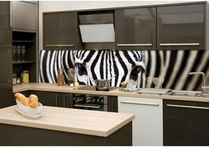DIMEX | Fototapeta do kuchyne Zebra KI-260-016 | 260 x 60 cm | čiernobiela