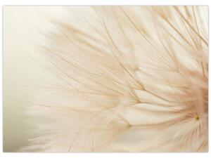 Obraz - Detaily kvetu (70x50 cm)