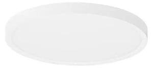 LED stropné svietidlo Dixie 30 biele – Biela