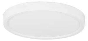 LED stropné svietidlo Dixie 22 biele – Biela