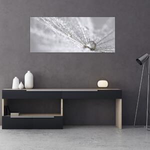 Obraz - Kvapka vody (120x50 cm)