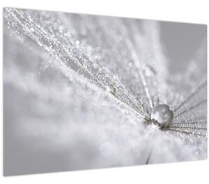 Obraz - Kvapka vody (90x60 cm)