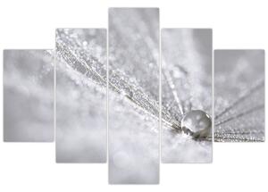 Obraz - Kvapka vody (150x105 cm)
