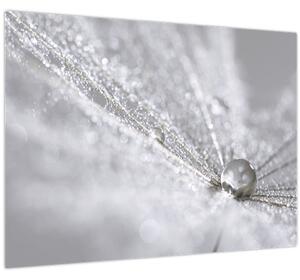 Obraz - Kvapka vody (70x50 cm)