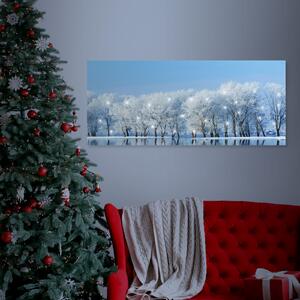 Zimná krajina - LED obraz 70x30