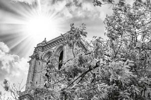 DIMEX | Vliesové fototapety na stenu Notre Dame detaily MS-5-1023 | 375 x 250 cm | biela, šedá