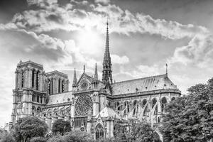 DIMEX | Vliesové fototapety na stenu Katedrála Paríž MS-5-1039 | 375 x 250 cm | biela, šedá