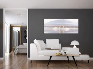 Obraz - Zamilované labute (120x50 cm)
