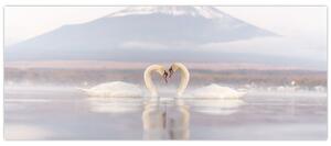 Obraz - Zamilované labute (120x50 cm)