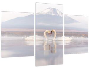 Obraz - Zamilované labute (90x60 cm)
