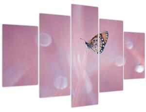 Obraz - Motýlik (150x105 cm)