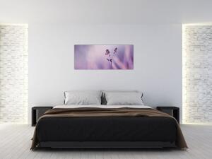 Obraz - Fialové motýliky (120x50 cm)